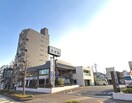 木曽路　徳川店(その他飲食（ファミレスなど）)まで180m エクセルヤマヒロ