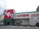 スギ薬局　上飯田店(ドラッグストア)まで550m カーサ御成