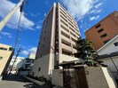 Ｐｌａｉｓｉｒ　Ｓａｋａｉの外観