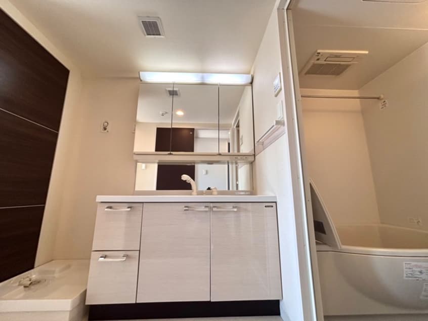 洗面 Ｐｌａｉｓｉｒ　Ｓａｋａｉ