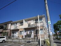 コルポカステロⅤ
