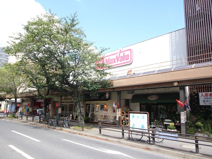 マックスバリュ藤が丘店(スーパー)まで710m サンハイツ　東光