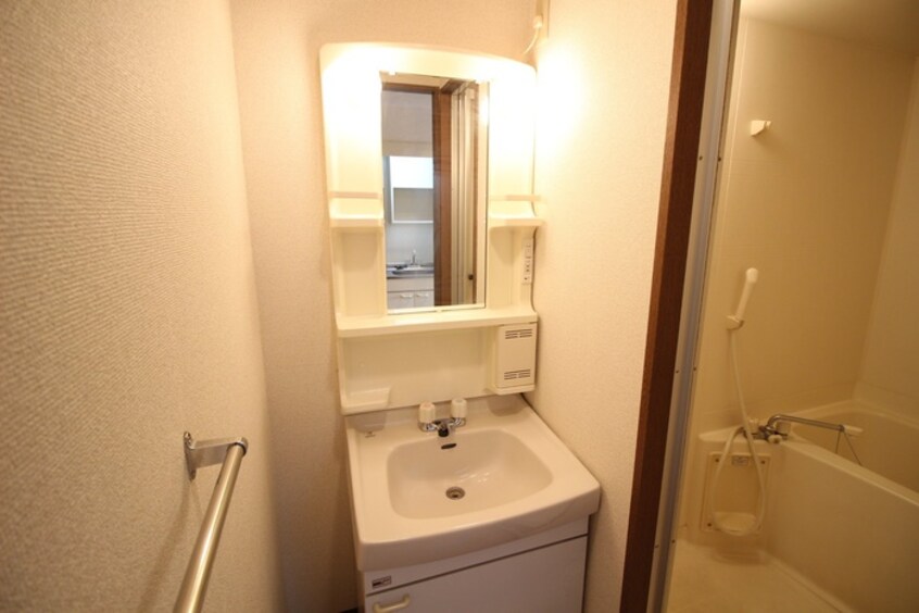 洗面 コンドミニオ内田橋