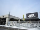 アント(電気量販店/ホームセンター)まで900m リバ－サイド・愛