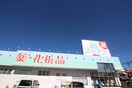 ドラッグスギヤマ 古知野店(ドラッグストア)まで1000m プレアール江南Ⅱ