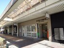大須郵便局(郵便局)まで850m ﾚｰﾍﾞﾝ名古屋松重町GRAND AUBE