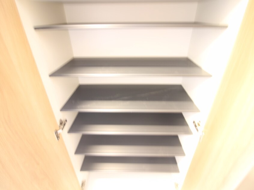 靴箱 SPAZIO METALLO