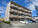 完成写真