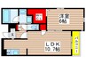 ディオール名駅 1LDKの間取り