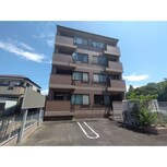 プリムローズマキB