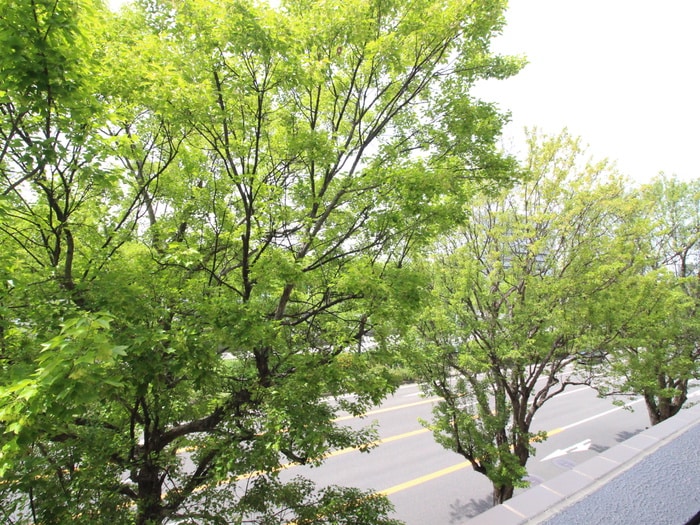 室内からの展望 IARIM吹上