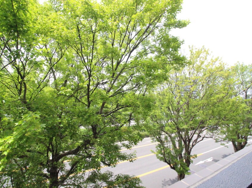 室内からの展望 IARIM吹上