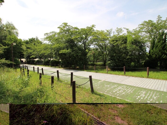 細口池公園(公園)まで430m 第二旭タウン