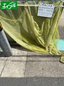 その他 ム－ニ－朝日ＮＯ．２