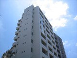 Ｓｔａｒ ｈｅｉｇｈｔｓ