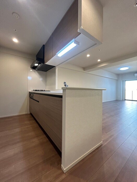 キッチン ロイジェント日吉Ⅱ