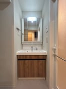 洗面 ロイジェント日吉Ⅱ