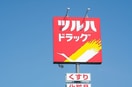 ツルハドラッグ(ドラッグストア)まで800m フランシーズ