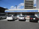ローソン(コンビニ)まで230m ノーブル徳川