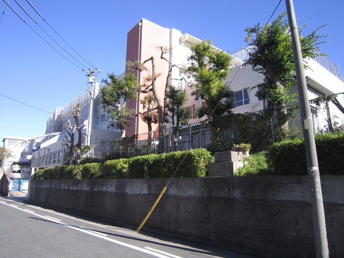 菊住小学校(小学校)まで655m 第３菊屋ビル