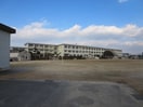大林小学校(小学校)まで270m セピアステ－ジＢ