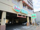 サイゼリヤ(その他飲食（ファミレスなど）)まで869m サンエイブリッジⅡ