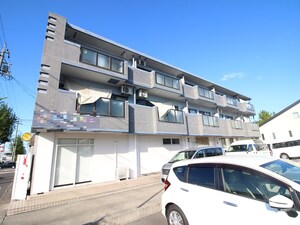 ハイグレージュＭ