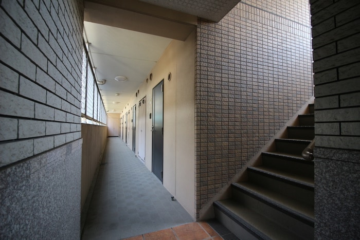 その他 パラディ－１５