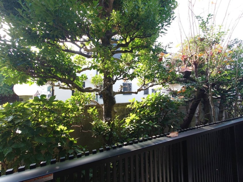 室内からの展望 黒門館