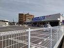 コーナン(電気量販店/ホームセンター)まで966m ＣＡＳＡ勝川新町B棟