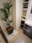 洗濯機置場 ＯＫＢアヴェニール菊井町