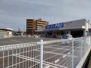 コーナン(電気量販店/ホームセンター)まで966m ＣＡＳＡ勝川新町D棟