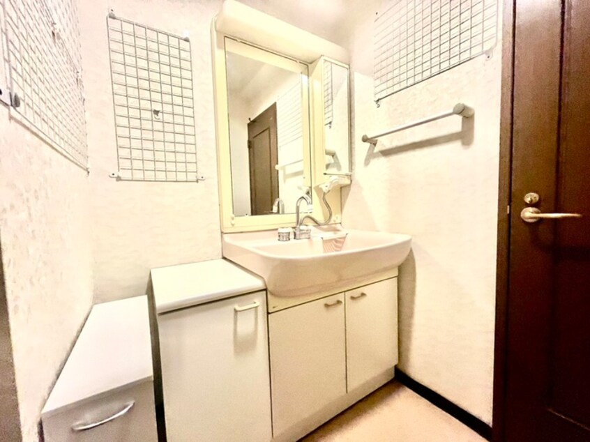 洗面 ｻﾝｱﾒﾆﾃｨｷｬｯｽﾙ岡崎(1505)