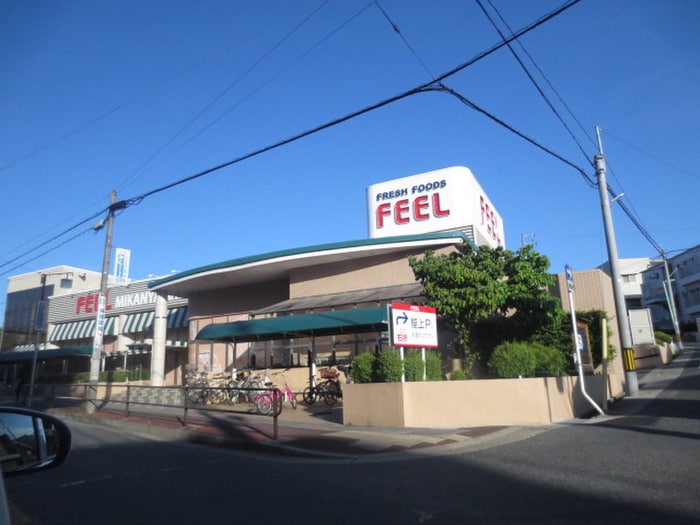 ＦＥＥＬみかん山店(スーパー)まで642m 花井第三清風マンション