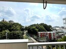 室内からの展望 山手アベニュ－