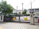 滝川小学校(小学校)まで290m 山手アベニュ－