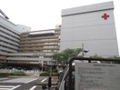 名古屋第二赤十字病院(病院)まで330m 山手アベニュ－