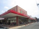 フィール花の木店(スーパー)まで570m アメニティ－新道