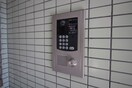 その他 ハイメド－ズ