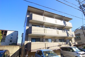 サンシャイン白菊