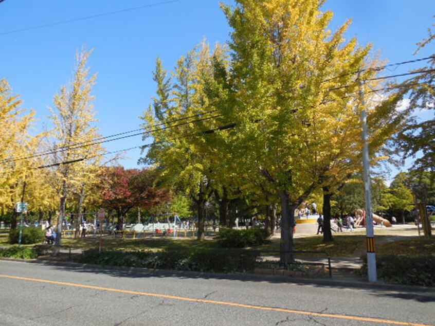 千種公園(公園)まで300m コンホ－ル千種