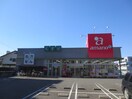 アマノドラッグ(ドラッグストア)まで395m メゾンスギエイ