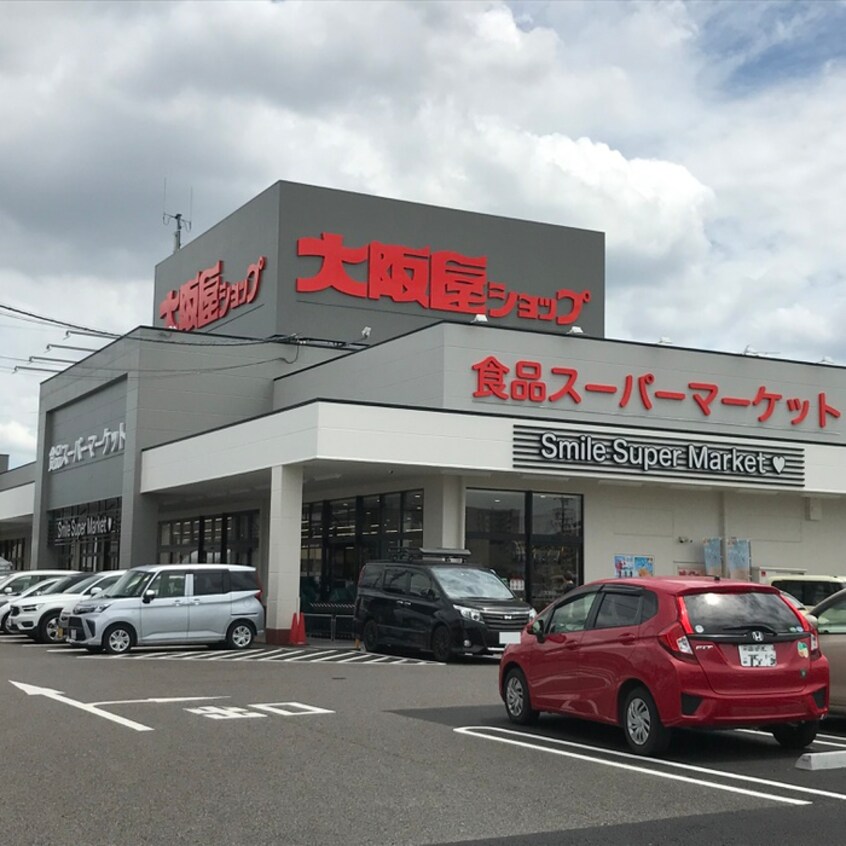 大阪屋ショップ　江南店(スーパー)まで950m ベルメゾン江南