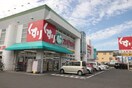 スギドラック大治店(ドラッグストア)まで1100m クイ－ンハイツ大治