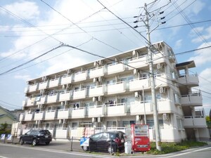 グロ－リ－ヤナセ