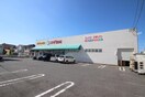 スギ薬局築地店(コンビニ)まで546m サ－クルハイツⅡ