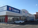 ヤマダ電機(電気量販店/ホームセンター)まで1100m リオラード