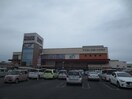 ヤマナカ八田フランテ館(スーパー)まで750m ウィステンド並木