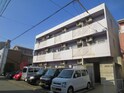 完成写真