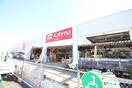 DCMカーマ(電気量販店/ホームセンター)まで2000m 仮)GRAND D-room豊田市若林西町